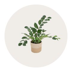 Supporto per monitor in bianco e nero per due schermi davanti a uno sfondo tondo beige