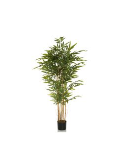 BAMBUS II - Piante artificiali 