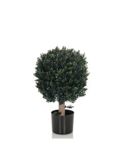 BUXUS - Piante artificiali 