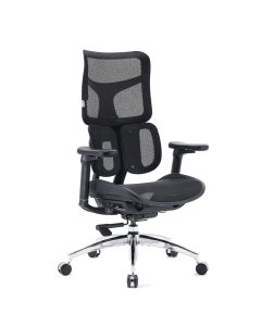 S100-M301 | Sihoo - Sedia da ufficio professionale 