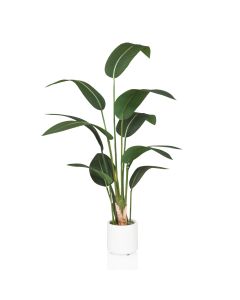 STRELITZIA - Piante artificiali 