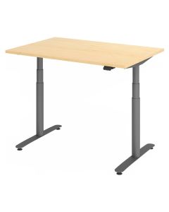 XDLR 12 G | 120x80 | Scrivania altezza regolabile elettricamente