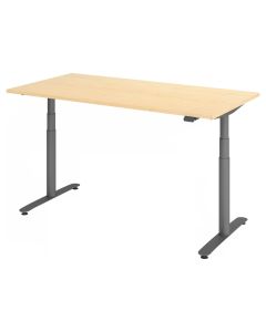 XDLR 16 G | 160x80 | Scrivania altezza regolabile elettricamente