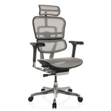 ERGOHUMAN GEN2 | tessuto di maglia - Poltrona di lusso Grigio chiaro