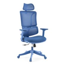 Ergomy Colore | Tessuto / Rete 3D | Struttura: Multicolore - Sedia Home Office Blu