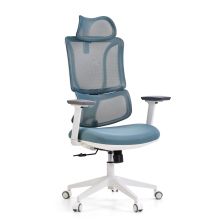 ERGOMY W | Tessuto / Rete | Struttura: Bianco - Sedia da ufficio professionale Blu